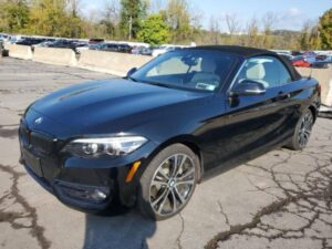 2020 BMW 230XI